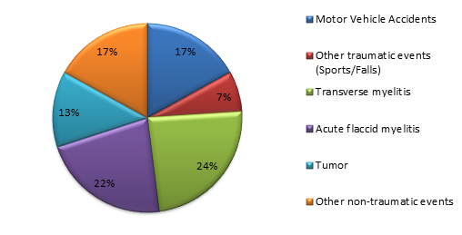 A pie chart depicting the breakdown of diagnoses treated by the Spinal Cord Injury Program at Kennedy Krieger during FY 2019