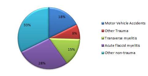 A pie chart depicting the most common diagnoses treated by the Spinal Cord Injury Program at Kennedy Krieger during FY 2019