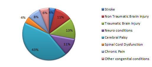 A pie chart depicting the breakdown of diagnoses treated by the Specialized Transition Program at Kennedy Krieger during FY 2019
