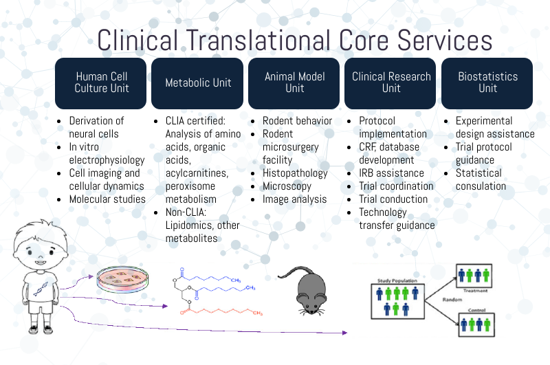 Clinical Translation Core Services