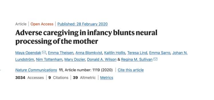 Adverse caregiving in infancy blunts neural processing of the mother online article headline