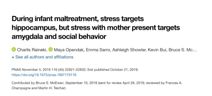 During infant maltreatment, stress targets hippocampus, but stress with mother present targets amygdala and social behavior online article headline