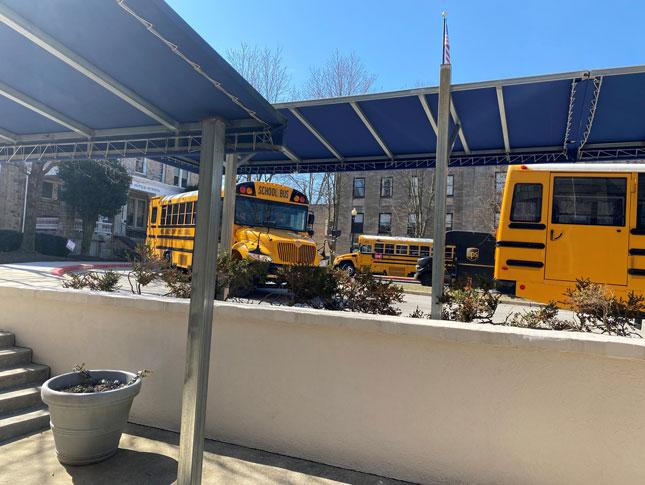 A line of school buses.