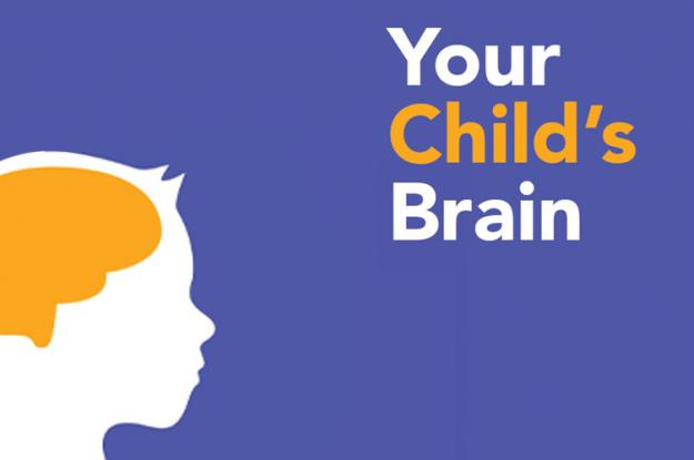 Your Childs Brain
